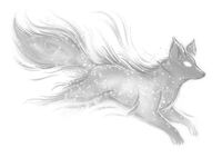 Fox Spirit