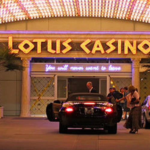 Lotus Flowers Percy Jackson