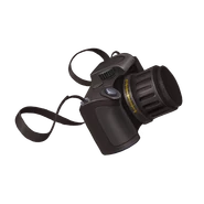 Aiden's camera, Shadowfax