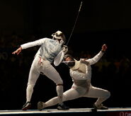 Fencing 3