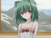 Category Characters Omamori Himari Wiki Fandom His childhood friend, rin has taken care of him ever since his parents died. omamori himari wiki fandom