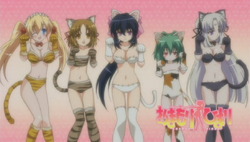 Milan Matra, tsukumogami, Himari Noihara, Omamori, ayakashi, bakeneko,  Omamori Himari, myAnimeList, Protagonist, manga