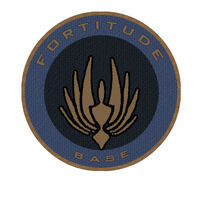 Fortitudepatch