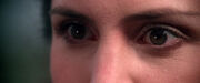 Holly eyes