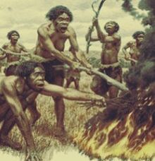 Homo habilis fire