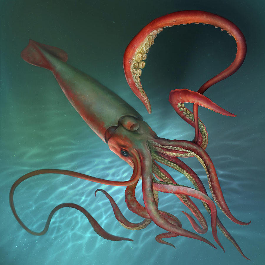 Giant Squid, Omniversal Battlefield Wiki