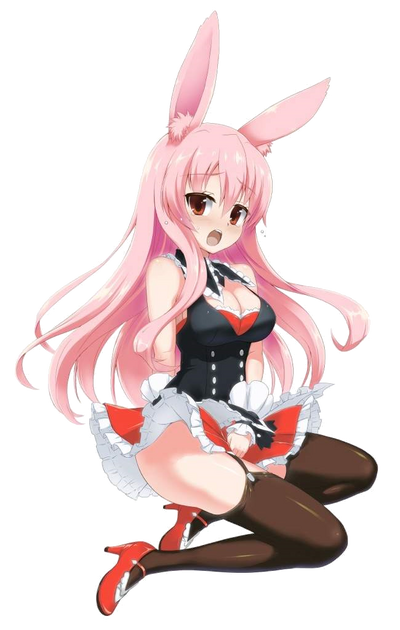 Mondaiji-tachi ga Isekai Kara Kuru Sō Desu yo, Kuro Usagi, Pink