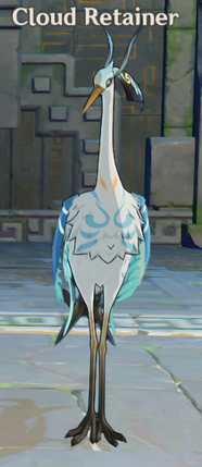Cloud Retainer 
