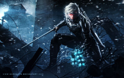 Raiden (Metal Gear), Versus Compendium Wiki