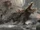 Lizzie (Rampage 2018)