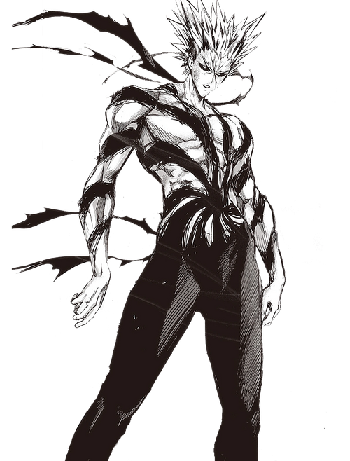 The Hero Hunter Garou Experience