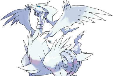 Reshiram, Versus Compendium Wiki