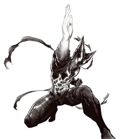 Perfected fist Garou