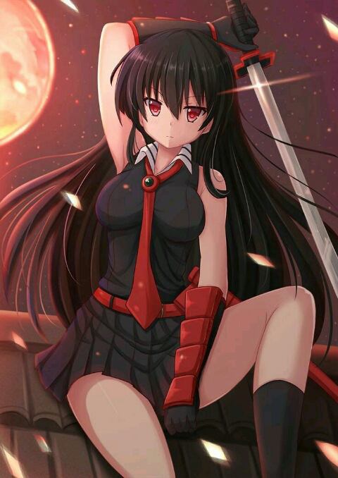 Akame, Character Profile Wikia