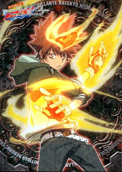 Tsunayoshi Sawada/Gallery, Reborn Wiki, Fandom