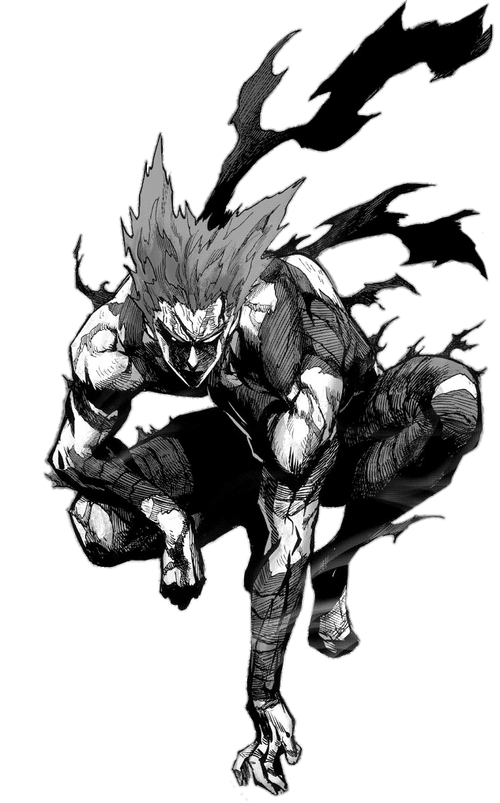 The Hero Hunter Garou Experience