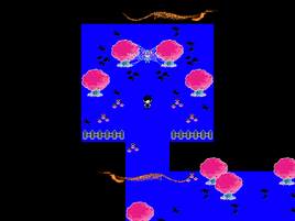 SPIDER AREA