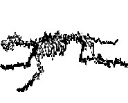 BS Skeleton 2.gif (15 KB) BS Skeleton (The Neighborhood).