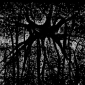 The background used for the Church of Something.