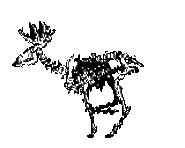 BS Skeleton 1.gif (16 KB) BS Skeleton (The Neighborhood).