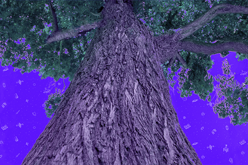 Big Strong Tree (Enemy)