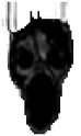 HELLMARI