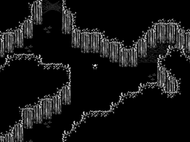 LOST FOREST 1