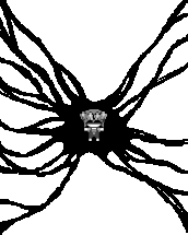 Basil trapped by his Something (Sunny Route)