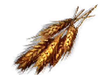Aloe Vera | Once Human Wiki | Fandom