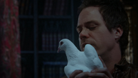 3x19 Neal Cassidy Bealfire oiseau blanc colombe message Capitaine Crochet potion de mémoire