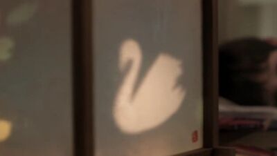 Swan henry.jpg