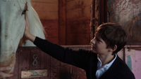 2x05 Henry Mills boxe cheval