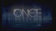 3x22 : "On n'est Jamais Aussi Bien que Chez Soi" : Un cygne
