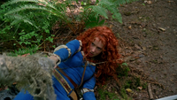 5x01 Merida Emma Swan sol forêt feuillage relève