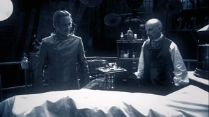 In the Name of the Brother