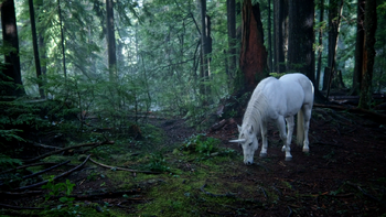 4x16 Licorne blanche