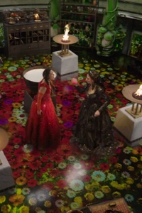 6x19 Infobox