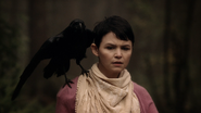 2x08 Mary Margaret Blanchard épaule oiseau corbeau corneille