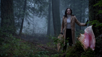 4x18 Regina Mills forêt de Storybrooke coquillage