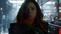 Gotham 4x14 Poison Ivy Pepper souffle fleur grains pollen