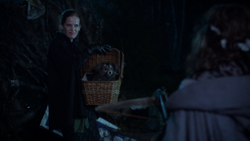 5x18 Zelena panier chien Toto arbalète Dorothy Gale dos