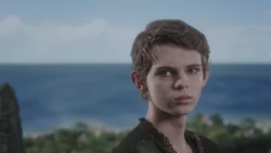 3x05 Peter Pan prix source vue plage Pays Imaginaire jour