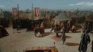 6x15 campement caravanes lamas alpagas camélidés Ariel tapis volant Princesse Jasmine