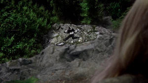 Sympathy for the De Vil