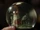 Snow Globes/Gallery