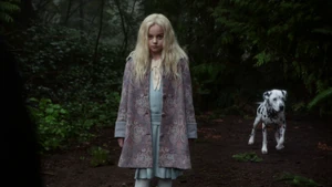 Sympathy for the De Vil