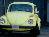 Yellow Bug