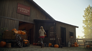 603PumpkinFarm