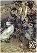 Rackham's illustration