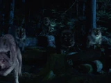 Werewolves